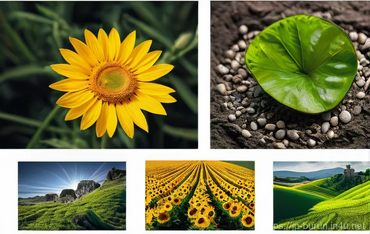 부룬디에서의 NGO 활동 성공 사례 - Here are three detailed image prompts in English, adhering to all the specified guidelines: